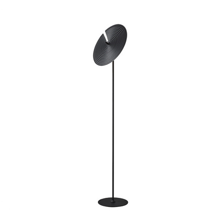 Interesting Floor Lamp with Adjustable Disc