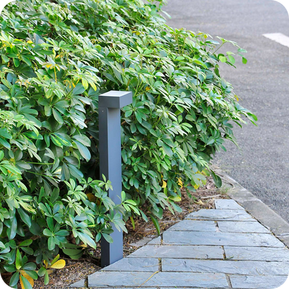 Pathway Bollard Light