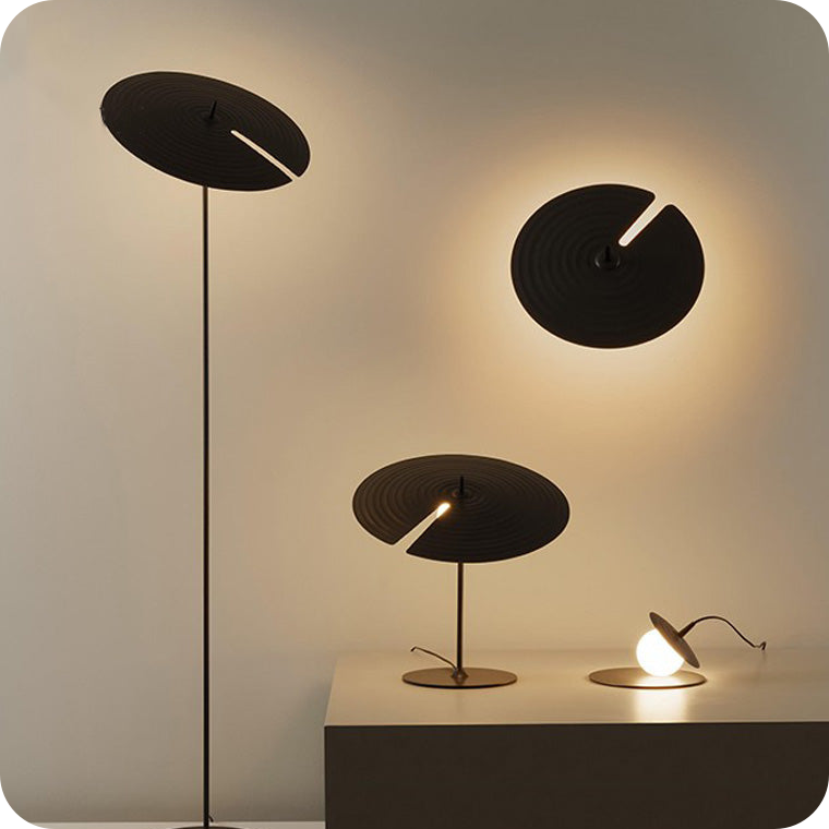 Interesting Floor Lamp with Adjustable Disc