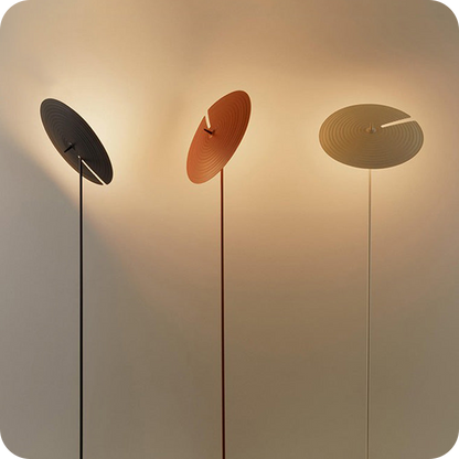 Interesting Floor Lamp with Adjustable Disc