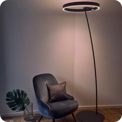 Circular Arc Floor Lamp