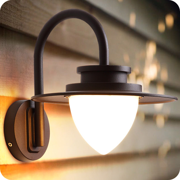 Gooseneck Outdoor Wall Light