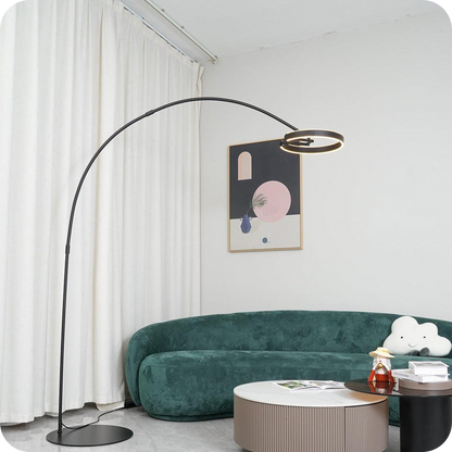 Circular Arc Floor Lamp