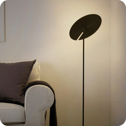 Interesting Floor Lamp with Adjustable Disc