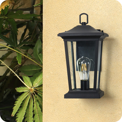 Transitional Outdoor Wall Lantern