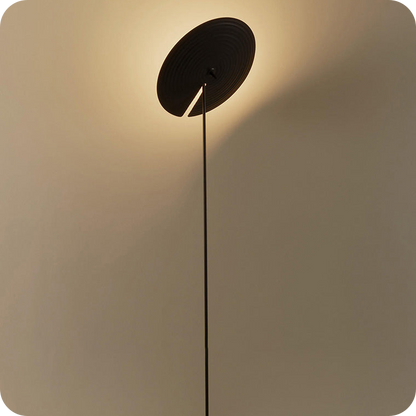 Interesting Floor Lamp with Adjustable Disc