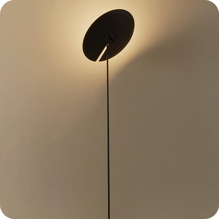 Interesting Floor Lamp with Adjustable Disc