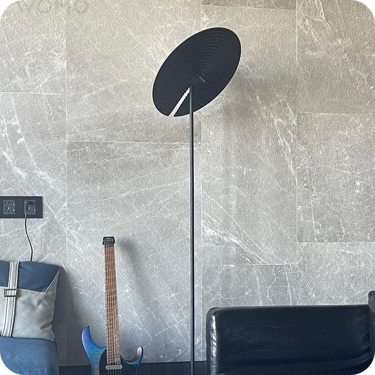 Interesting Floor Lamp with Adjustable Disc