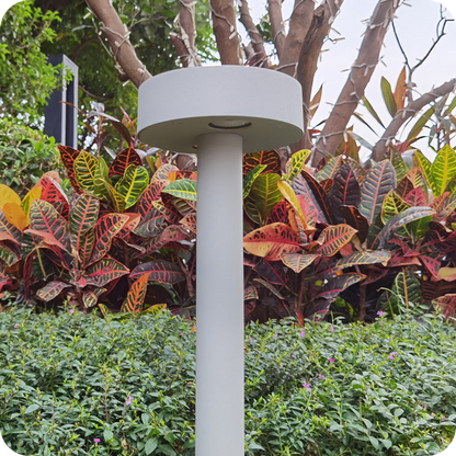 Round Bollard Light