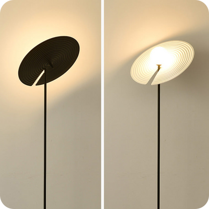 Interesting Floor Lamp with Adjustable Disc