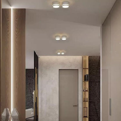 Small Hallway Flush Mount Ceiling Light