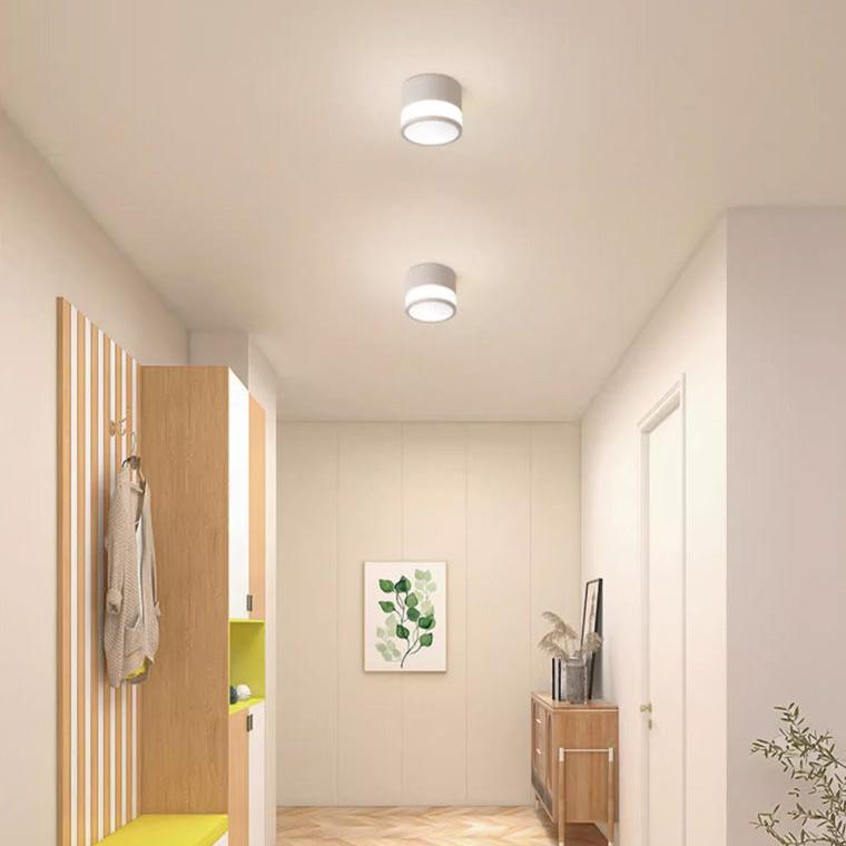 Small Hallway Flush Mount Ceiling Light