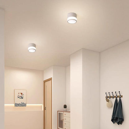 Small Hallway Flush Mount Ceiling Light