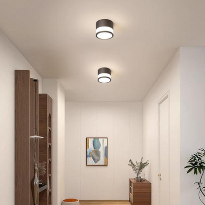 Small Hallway Flush Mount Ceiling Light