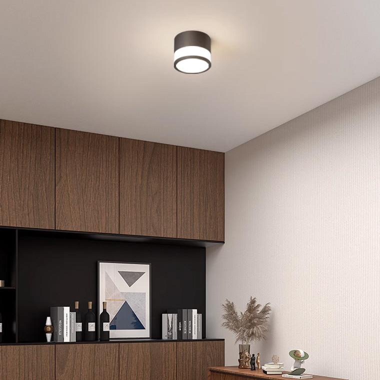 Small Hallway Flush Mount Ceiling Light