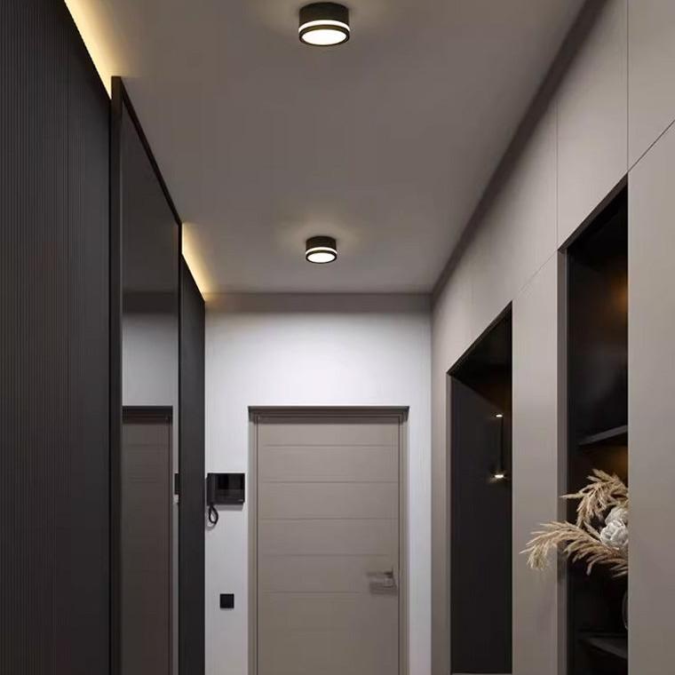 Small Hallway Flush Mount Ceiling Light