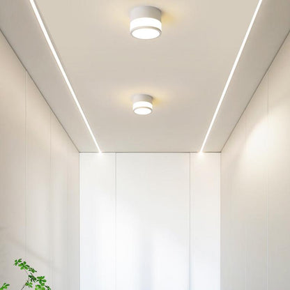 Small Hallway Flush Mount Ceiling Light