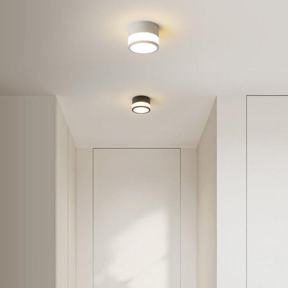 Small Hallway Flush Mount Ceiling Light