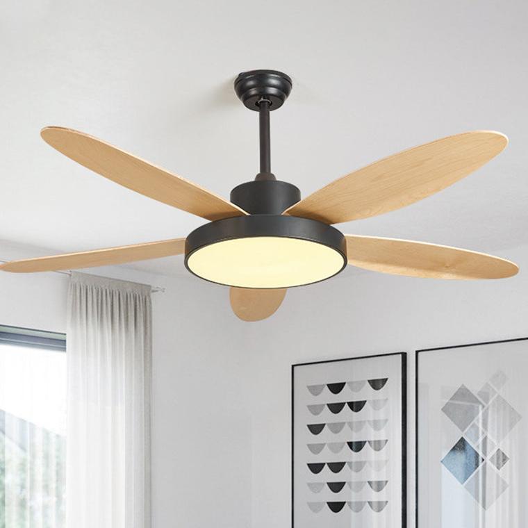 5 Blade Modern Ceiling Fan Lamp