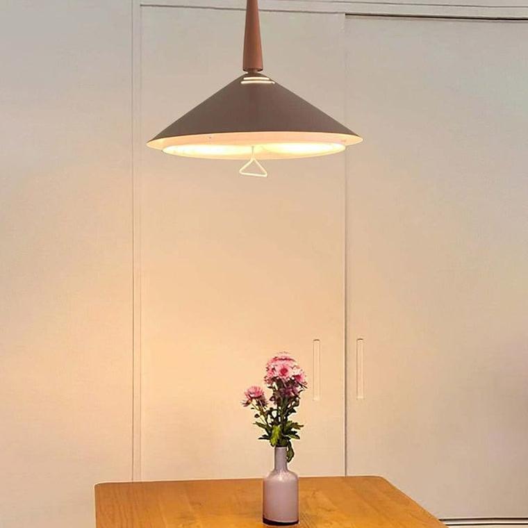 Rise and Fall Cone Pendant Light