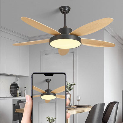 5 Blade Modern Ceiling Fan Lamp