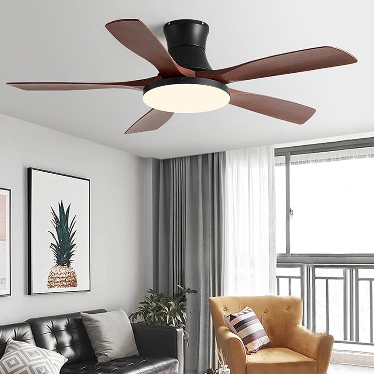 5 Blade Modern Ceiling Fan Lamp