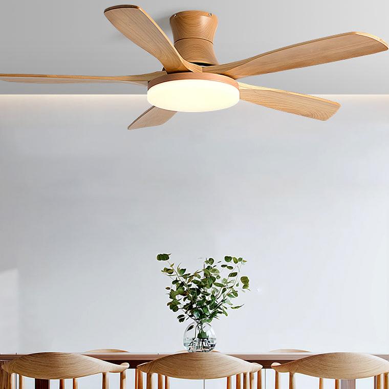 5 Blade Modern Ceiling Fan Lamp