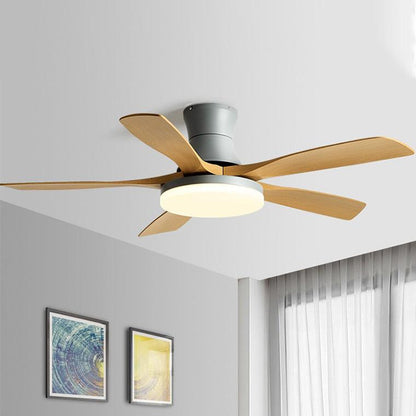 5 Blade Modern Ceiling Fan Lamp