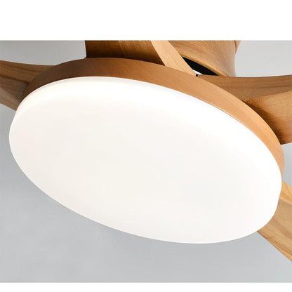 5 Blade Modern Ceiling Fan Lamp