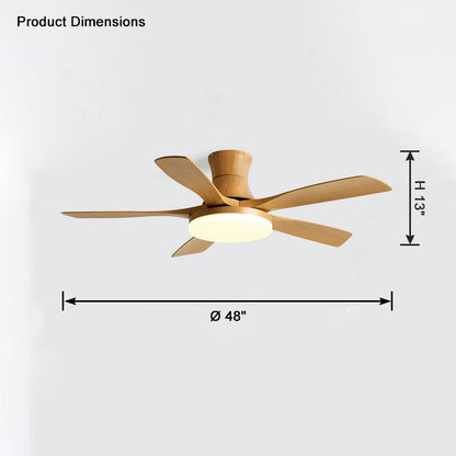 5 Blade Modern Ceiling Fan Lamp