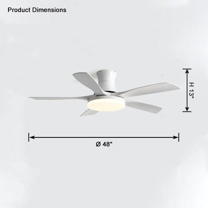 5 Blade Modern Ceiling Fan Lamp