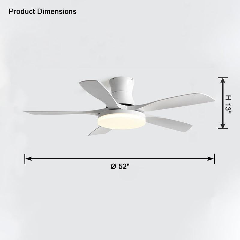 5 Blade Modern Ceiling Fan Lamp