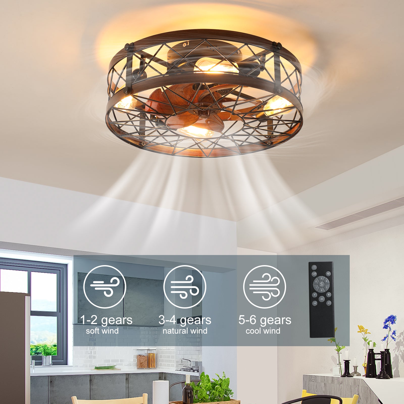 Caged Ceiling Fans with Lights Black