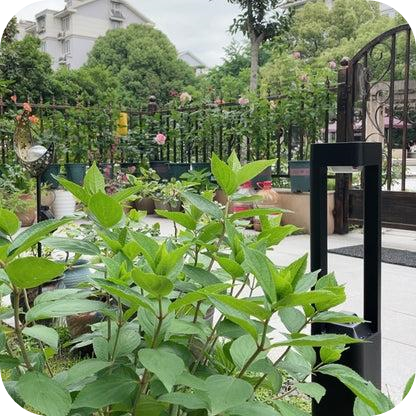 Solar Pathway Light