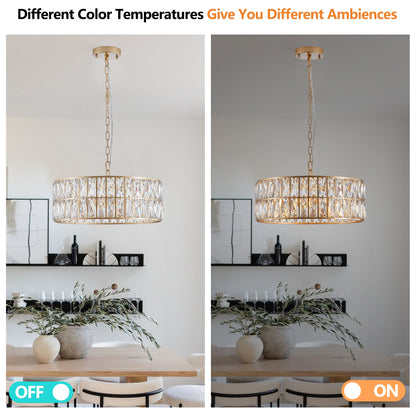 Modern Crystal Drum Chandelier, 6-Light Pendant Lighting Fixture with Golden Metal Frame for Living Room, Dining Room, and Bedroom (Bulbs Not Included)