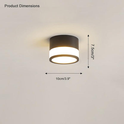 Small Hallway Flush Mount Ceiling Light