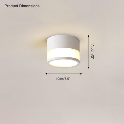 Small Hallway Flush Mount Ceiling Light